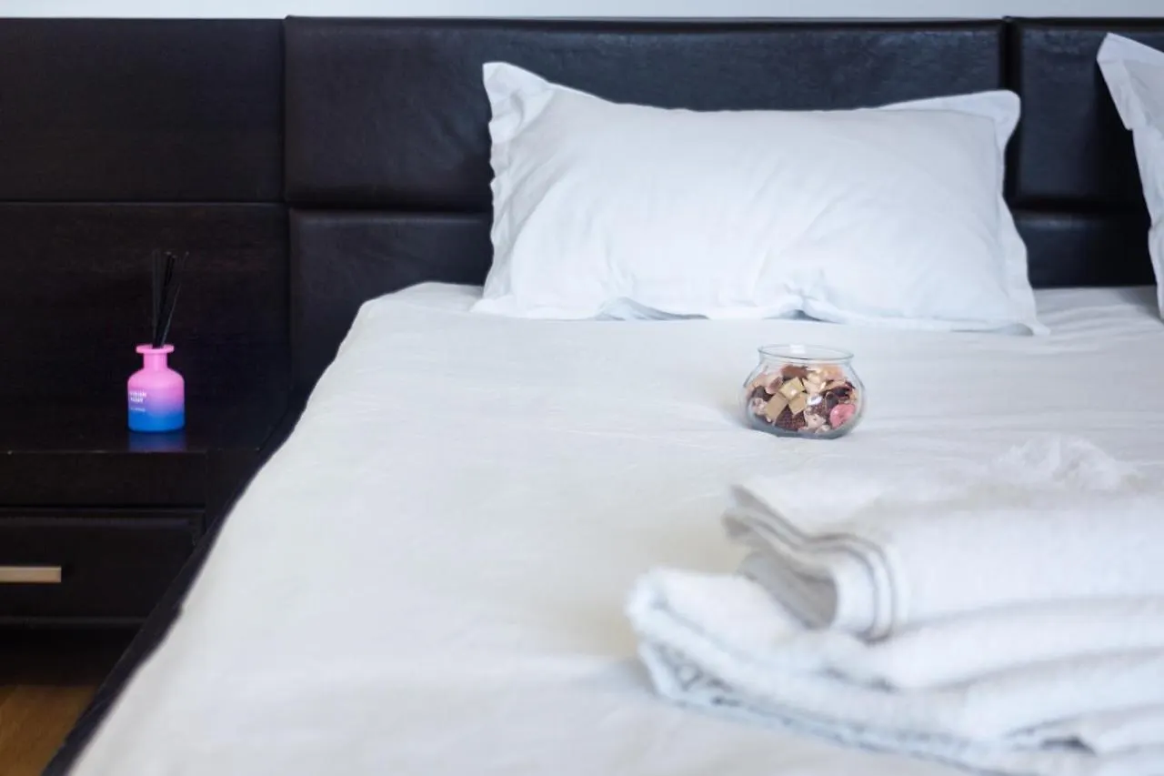 Apartment Studio Aviatiei Bucharest