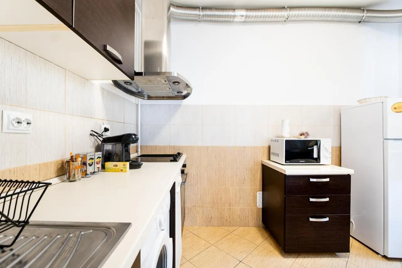 Apartment Studio Aviatiei Bucharest