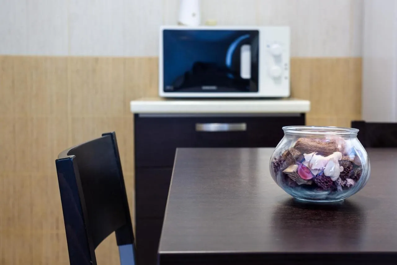 Apartment Studio Aviatiei Bucharest